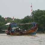 Nelayan di kawasan mangrove pesisir