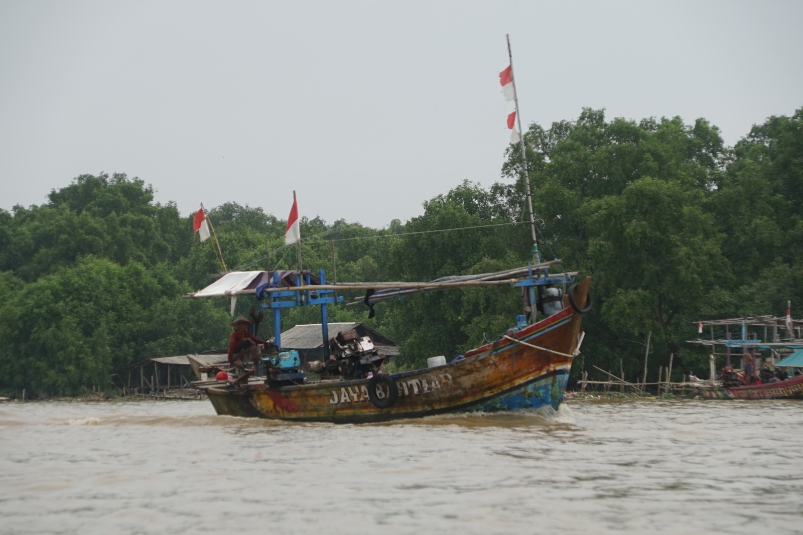 Nelayan di kawasan mangrove pesisir